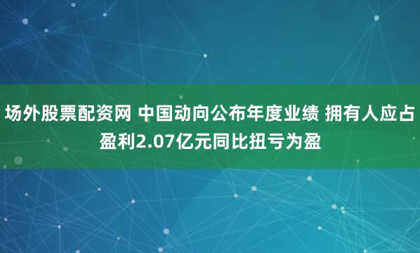 场外股票配资网 中国动向公布年度业绩 拥有人应占盈利2.07亿元同比扭亏为盈